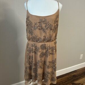 Express Tan Embroidered Dress